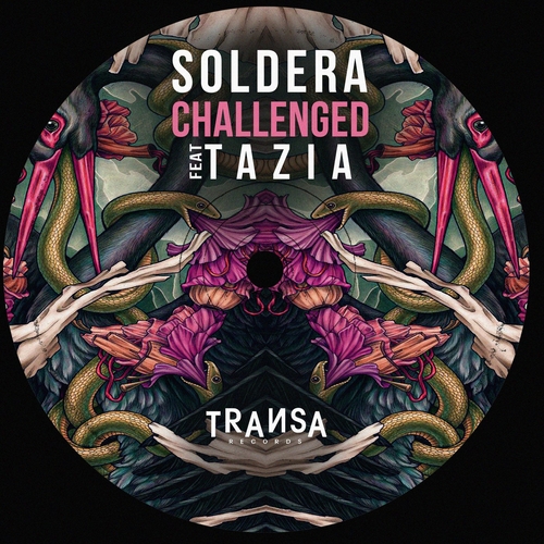 Soldera feat. Tazia - Challenged [TRANSA572]